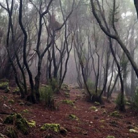 La Casita De Descanso - Das Haeuschen Der Ruhe - La Luz - ลาโอโรตาวา ภายนอก รูปภาพ